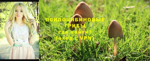 прущий лед Верхнеуральск