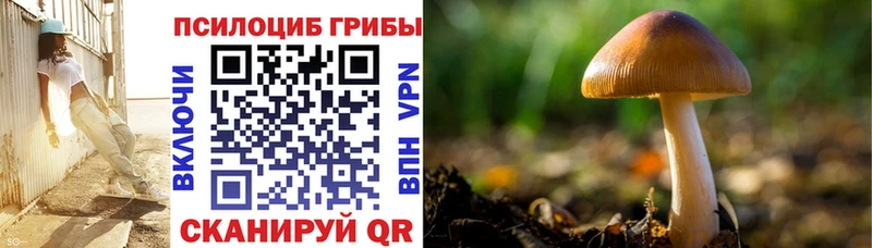 Псилоцибиновые грибы прущие грибы  Новосиль 