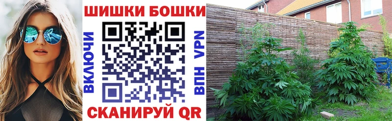Бошки Шишки гибрид закладка Новосиль